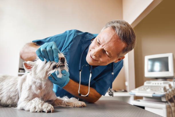 Best Emergency Treatment for Dental Infections or Abscesses in Oakdale, LA